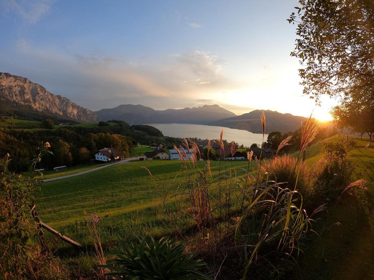 Biohof Schwanser Steinbach am Attersee Exteriör bild