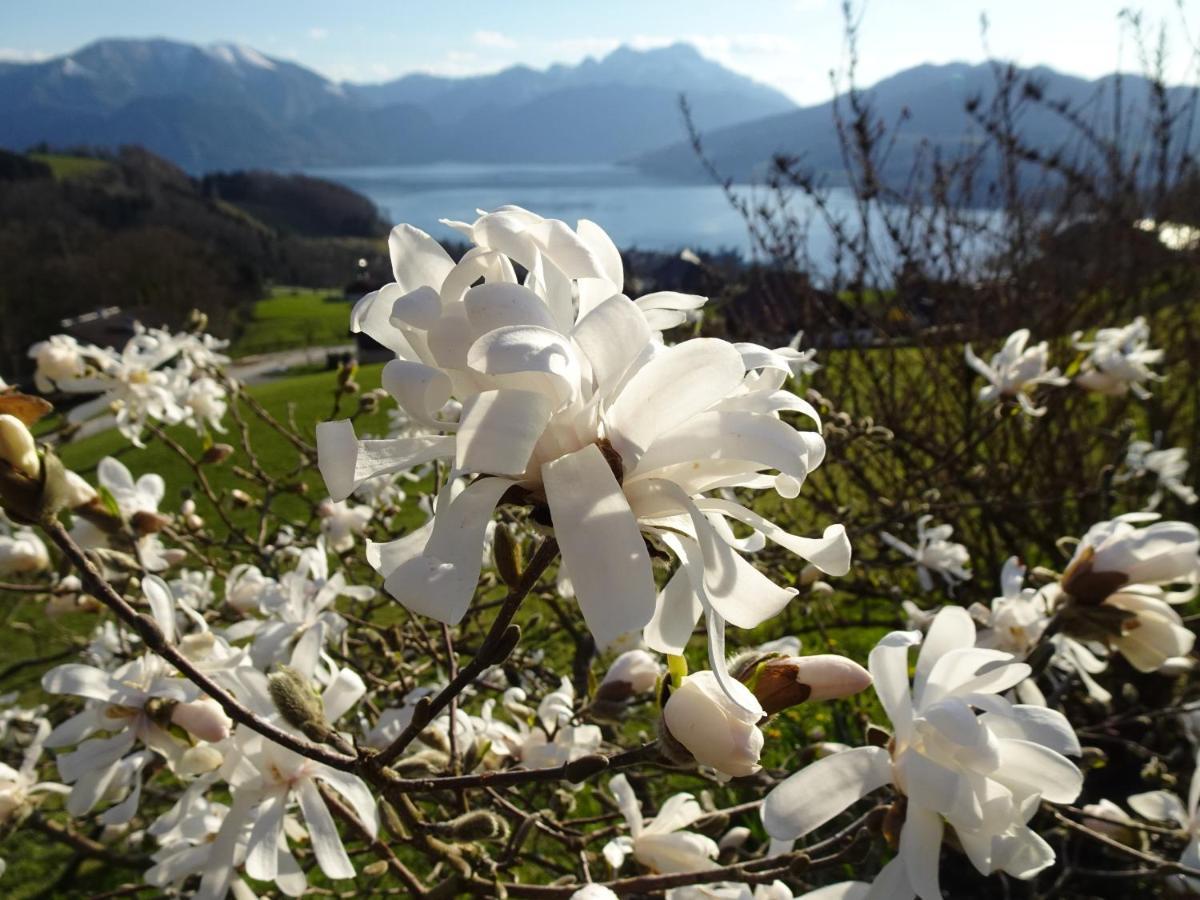 Biohof Schwanser Steinbach am Attersee Exteriör bild