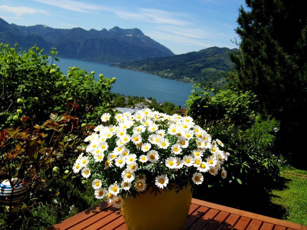 Biohof Schwanser Steinbach am Attersee Exteriör bild