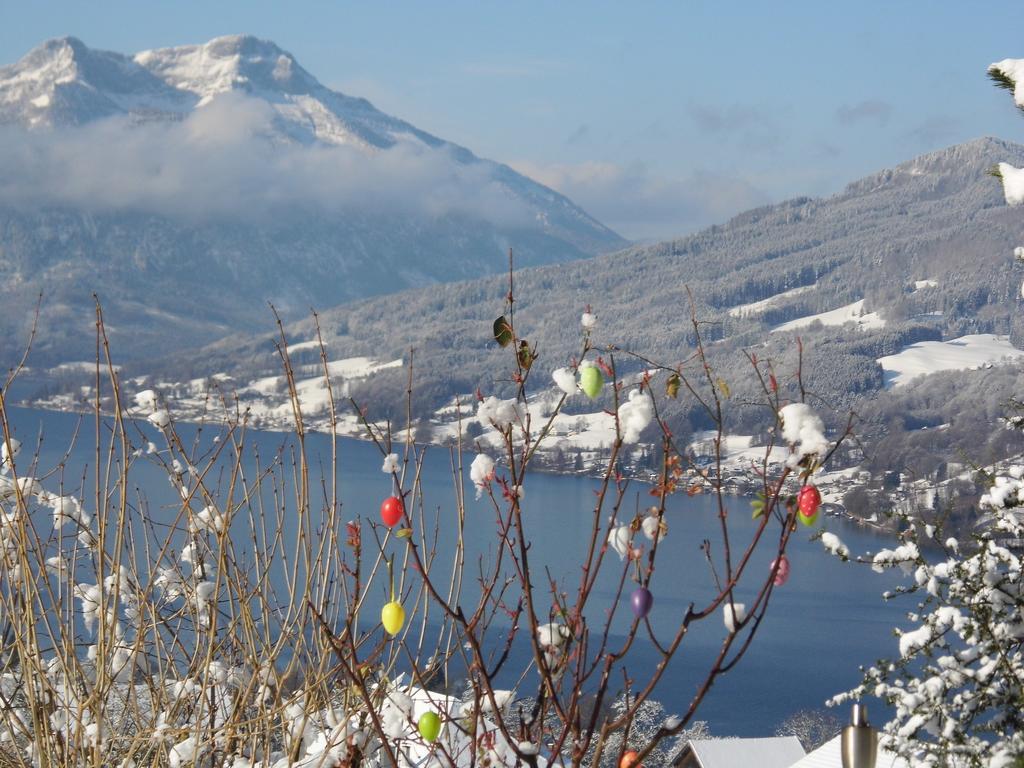 Biohof Schwanser Steinbach am Attersee Exteriör bild