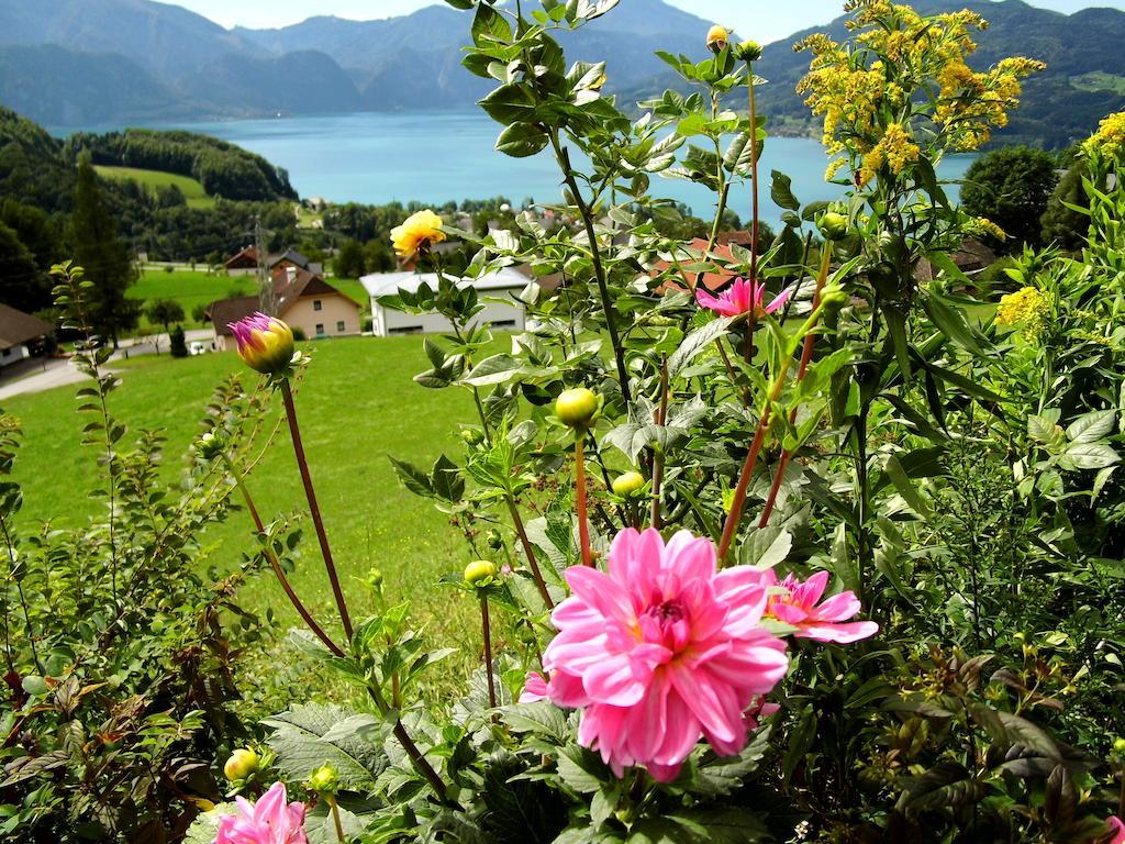 Biohof Schwanser Steinbach am Attersee Exteriör bild