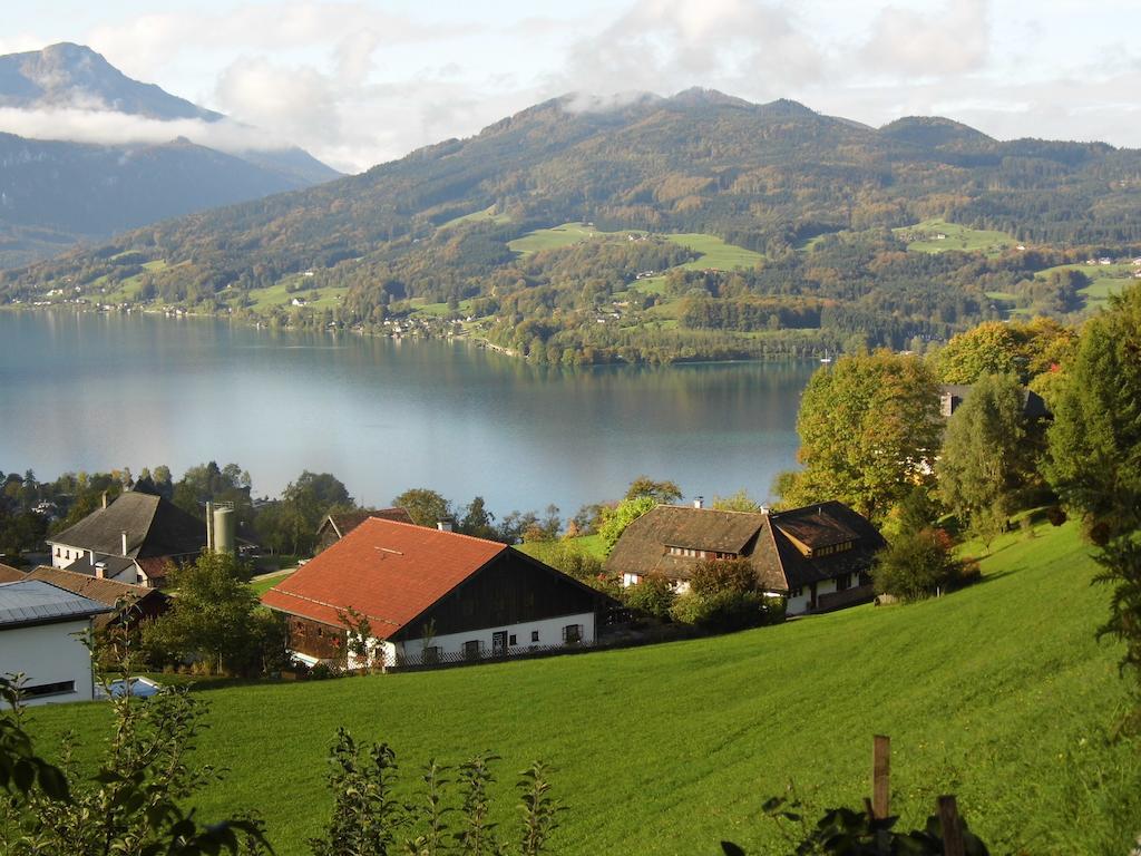 Biohof Schwanser Steinbach am Attersee Exteriör bild