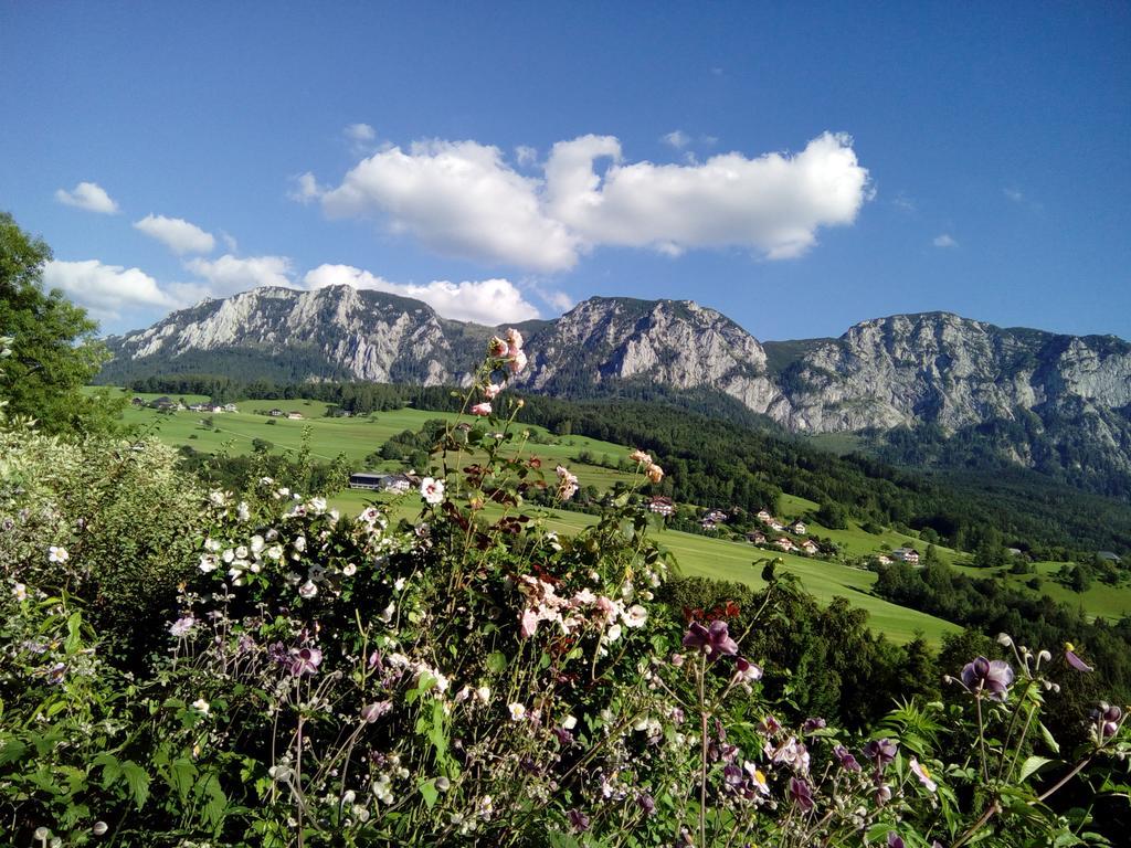 Biohof Schwanser Steinbach am Attersee Exteriör bild