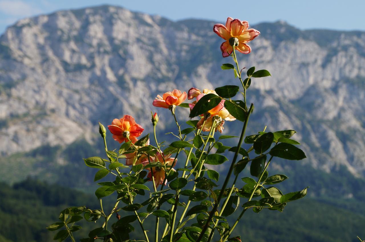 Biohof Schwanser Steinbach am Attersee Exteriör bild