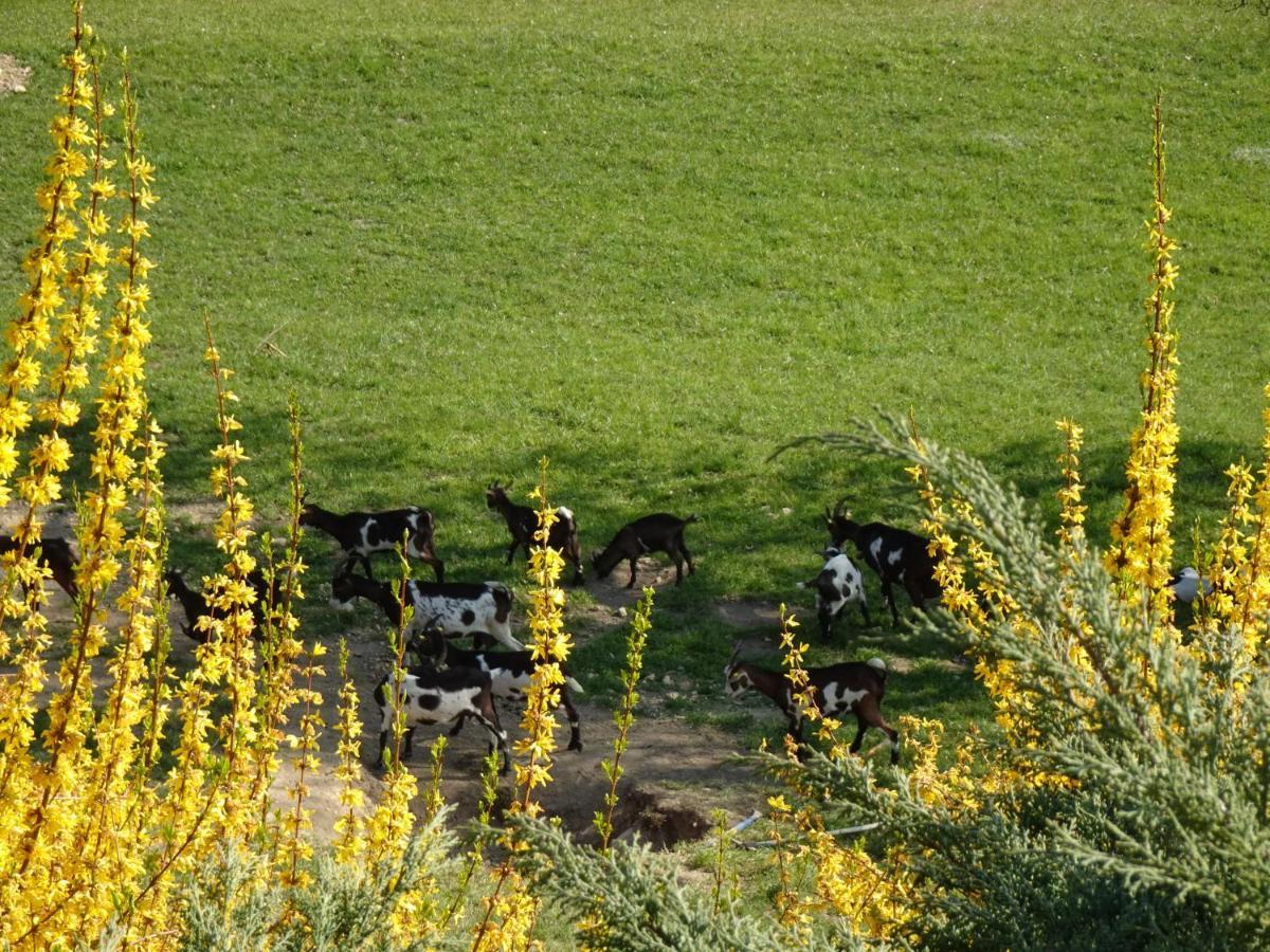 Biohof Schwanser Steinbach am Attersee Exteriör bild